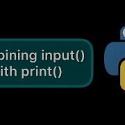 When You Are A Lonely Python Programmer Shorts