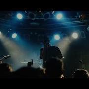 Movements Daylily Live In Perth Aus
