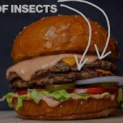 The Future Of Food Edible Insects