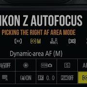 Режимы автофокусировки Nikon Z когда использовать каждый из них