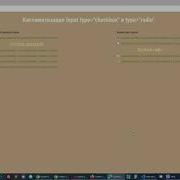 Стилизация Input Custom Input Type Radio Type Checkbox