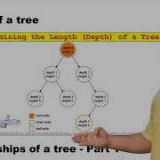 Height And Depth Of A Tree
