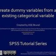 Create Dummy Variables From An Existing Categorical Variable In SPSS