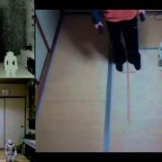 Humanoid Robot Navigation Teleoperation With NAO And Kinect