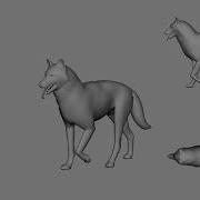 Wolf Walk Cycle Animation