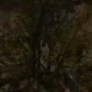 Call Of Duty 2 Glitches Beltot France Bl Mp Sonic