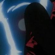 Hellsing AMV The Animal