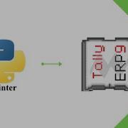 Python Tally Series 07 Getting Day Book Python Tkinter Tally Addon Tally Integration