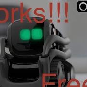 How To Set Up Vector Robot In 2026