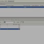 Primavera P6 How To Adjust Capacity For Temporary Employee