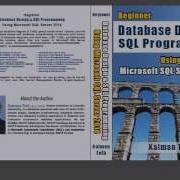 Beginner Database Design SQL Programming Using Microsoft SQL Server 2014 By Kalman Toth