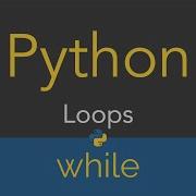 Python Loops While Loop 28 29