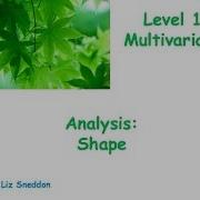 Level 1 Multivariate Analysis Shape