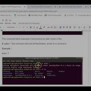 Linux Shell Scripting Echo Sleep Command
