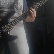 Vendetta Glacier US Bass