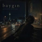 Baygın