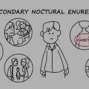 Pediatrics Enuresis By Chris Cooper M D