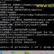 Difference Between Environment And Shell Variables In Bash