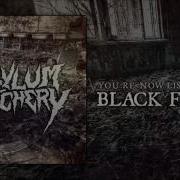Asylum Butchery Black Friday
