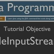 Learn Java Programming FileInputStream Tutorial