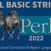 Perl Programming Basic Strings 2023