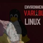 1 2 Enironment Variable In Linux Bash Tutorial Compilersutra
