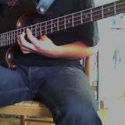 Tool Disposition Bass Cover