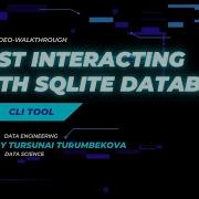Rust Interacting With SQLite Database Command Line Tool For CRUD Operations