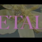 VOILÀ Petals Official Lyric Video