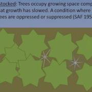 Curtis Relative Density A Measure Useful In Douglas Fir Management