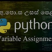 04 Variable Assignment ව චල ය ප වර ම Python Sinhala
