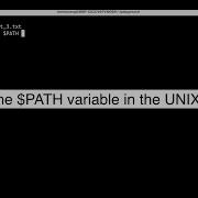Understanding The Path Variable In Unix Systems