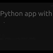 Using Python App With Nginx