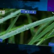 Midnight Virtual Operating System At A Glance