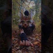 New HYPER MOTION Yarn Tail Quadrobics Animalmask Catmask Halloweenmask Therian Fypage Fyp
