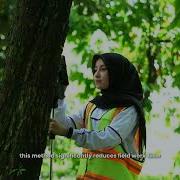 Agriimeter Tracking Tree Diameter More Efficient Now Wireless Effortless