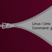 Tar Gzip Gunzip Xz Unxz Bzip2 Unbzip2 Commands In Linux