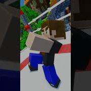 Herobrine Tarık VS Skibidi Tuvalet Shorts