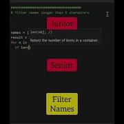 Junior Vs Senior Developer Coding Programming Python Shorts