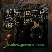 SCIRENA Вектор А Темы