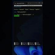 Bash Shell Scripting ARRAYS For Beginner To Advanced Beginner Tutorial Bash Bashscripting