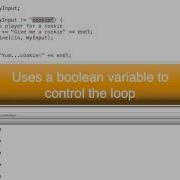C While Loop Types