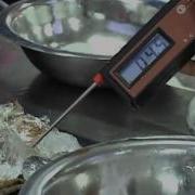 Shrimps Catching Peeling Processing Video By RF Part 2 M2p