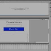 Flash CS6 Input And Dynamic Text