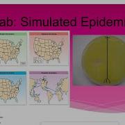 Simulated Epidemic Lab