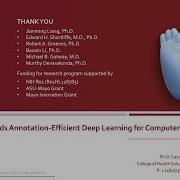 Towards Annotation Efficient Deep Learning For Computer Aided Diagnosis