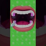 Learn How To Brush Your Teeth Like A Pro