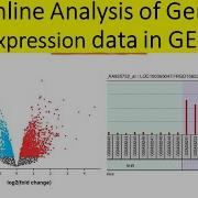 Как анализировать данные по экспрессии генов онлайн GEO2R Генная экспрессия Omnibus