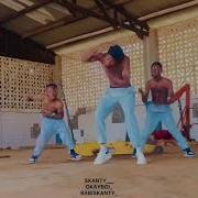 Zlatan Ale Yi Official Dance Video