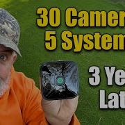 Blink Security Camera System Review And Tips